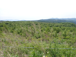 R0606180001