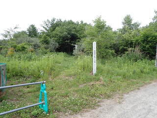 R0606180008