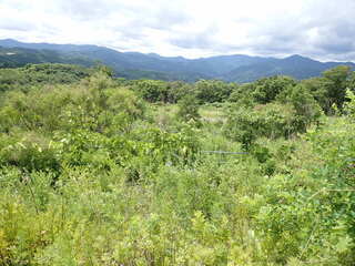 R0607230001