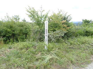 R0607230005