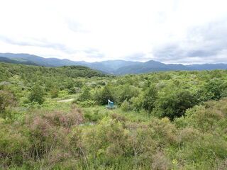 R0607230006