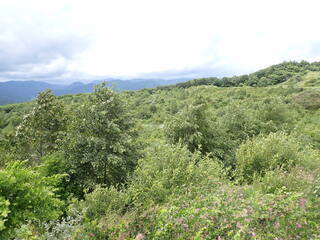 R0607230011