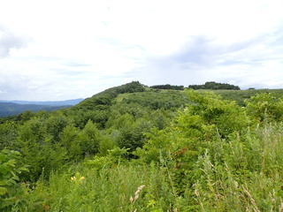 R0607230012