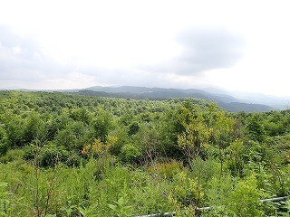R0608070001