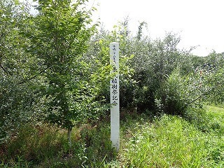 R0608070002