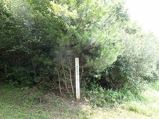 R0606180003