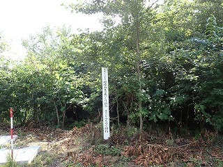 R0608070004