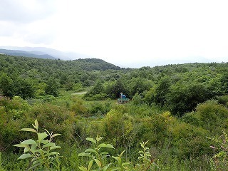 R0608070006