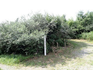 R0608070007