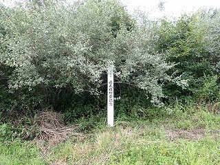 R0608070009