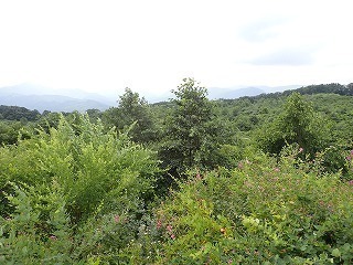 R0608070011