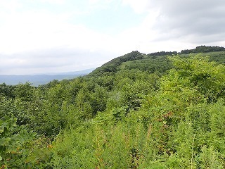 R0608070012