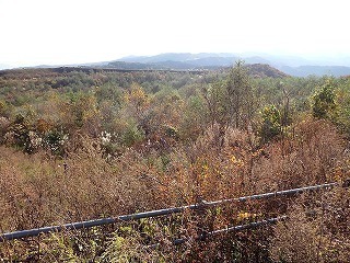R0610310001