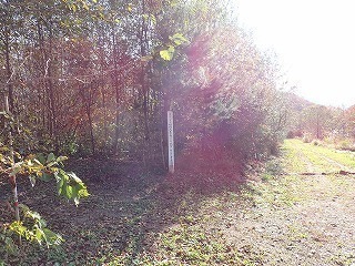 R0610310003