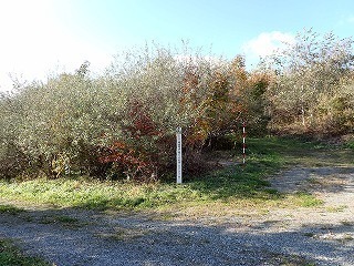 R0610310007