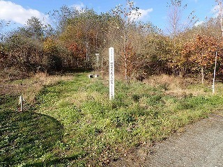 R0610310008
