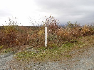R06011110005