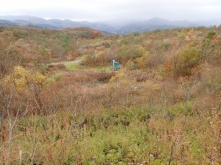 R0611110006