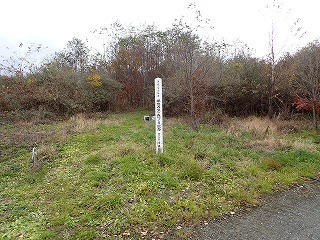 R0611110008