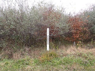 R06011110009