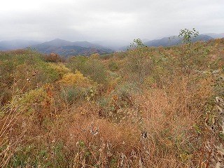 R0611110011