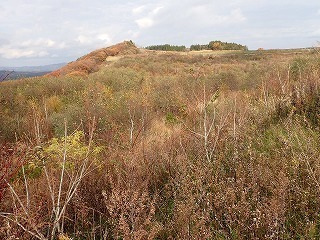 R0611110012