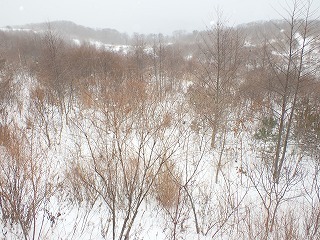 R0612110011