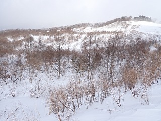 R0702050011