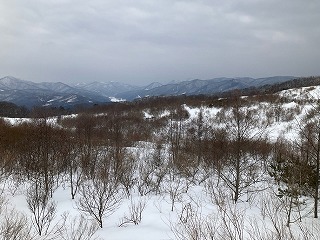 R0703200011