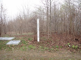 R0704240004