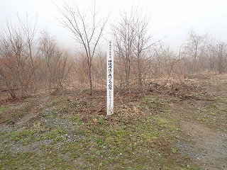 R0704240005
