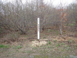 R0704240009