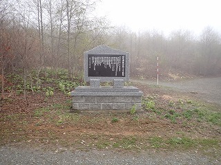 R0704240010