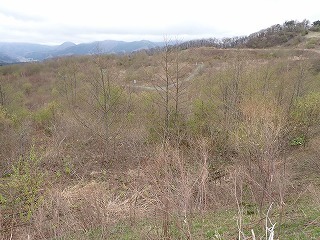 R0704240011