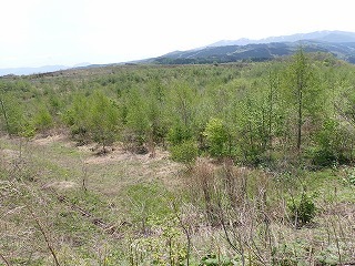 R0705130001