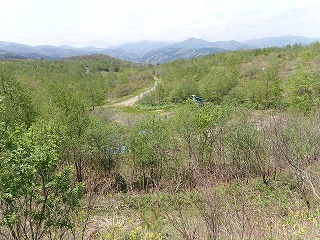 R0705130006