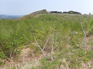 R0705130012