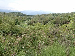 R0708260006