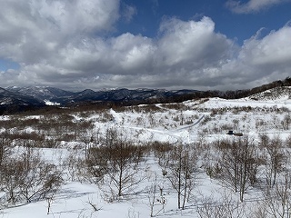R0502220011