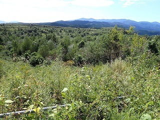 R0609240001