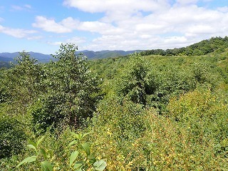 R0609240011