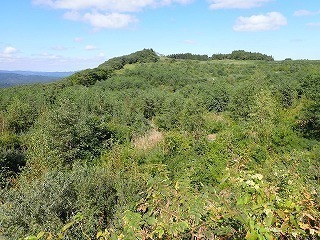 R0609240012