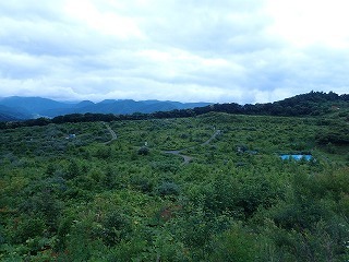R0207070011
