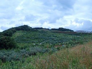 R0207070012
