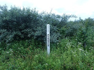 R0207070009