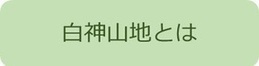 白神山地とは