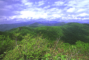 写真：二ツ森頂上から初夏の赤石川源流部を望む