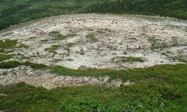 荒廃した八甲田山の植生