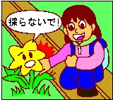 植物を採らないで！