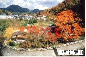 中野紅葉山